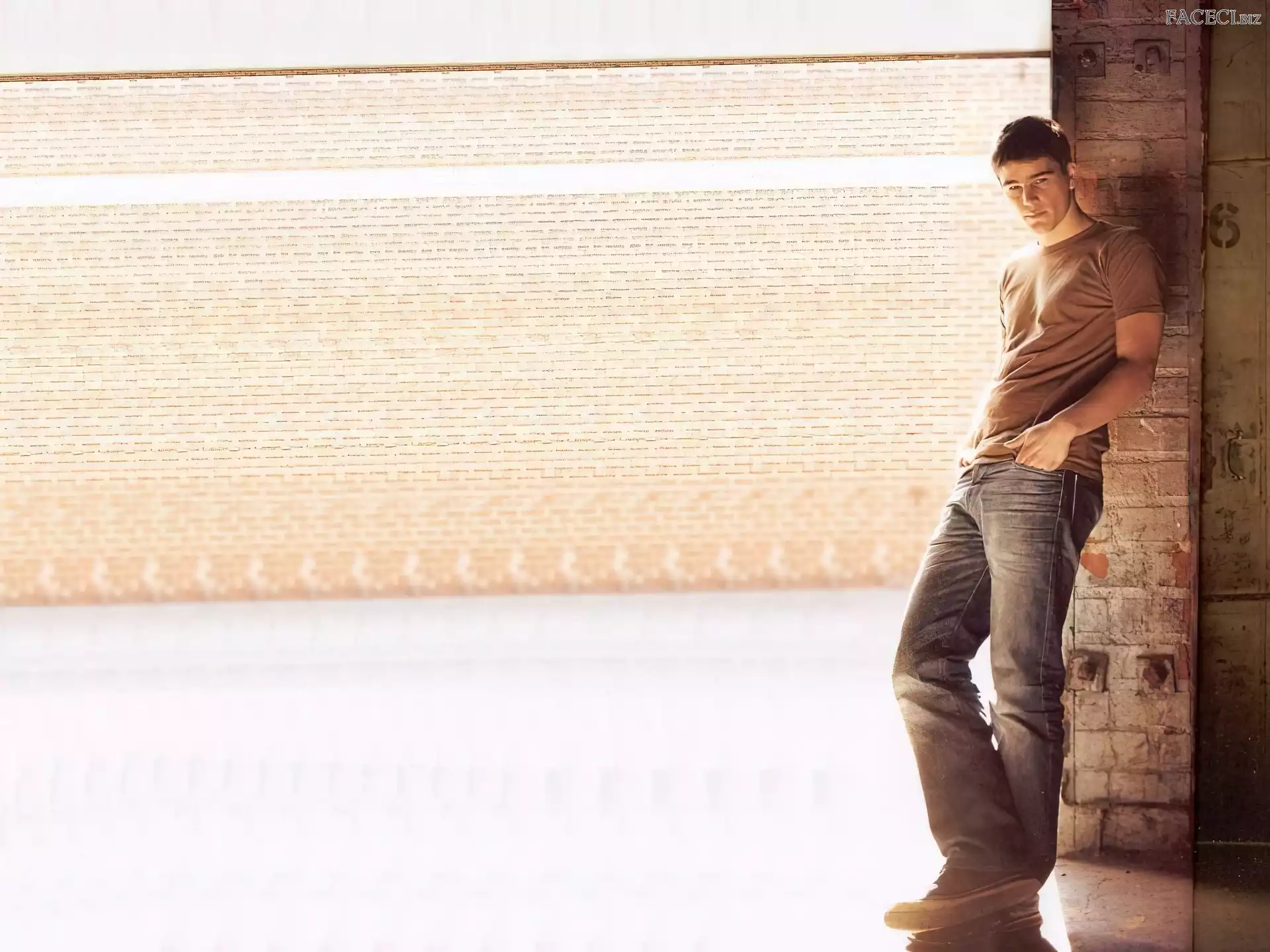 jeansy, Josh Hartnett, brÄ…zowa koszulka