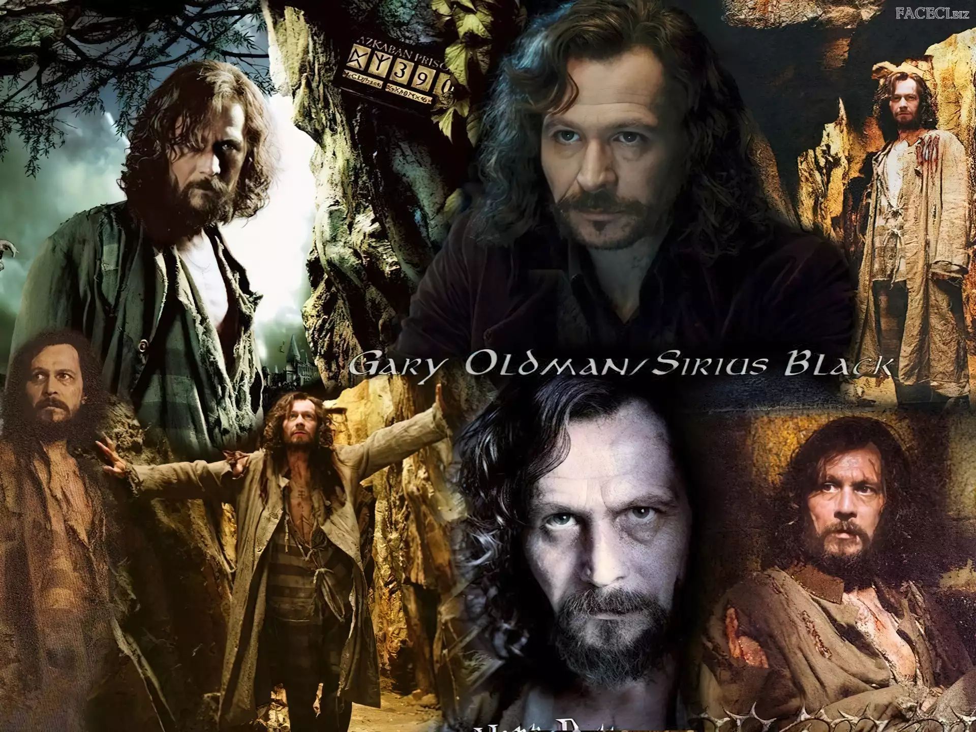 niebieskie oczy, Gary Oldman, kręcone włosy